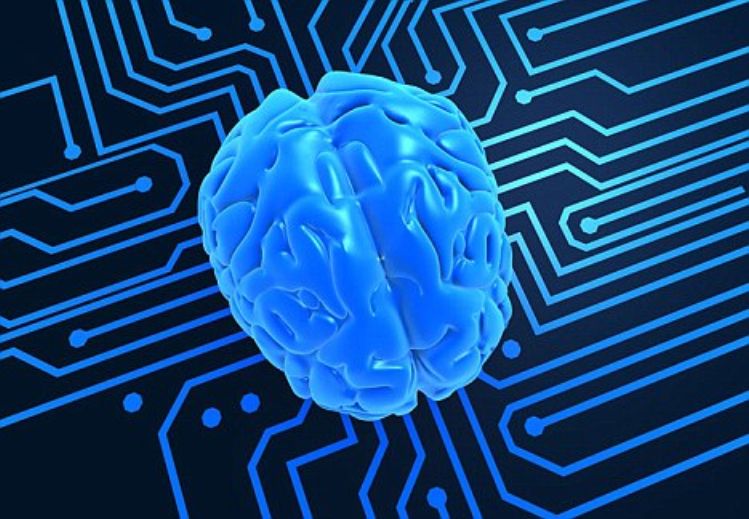 Playing with Reality Changing the Human Programming