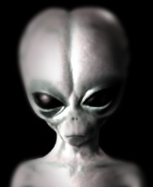 Gray Visitor Species