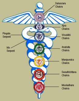 Snake Symbolism The power of Snake Medicine