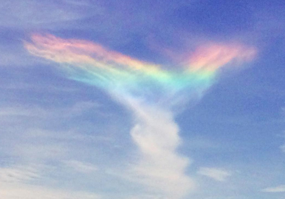 Fire Rainbows of the mind
